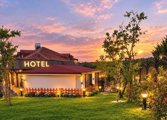 New Green Airport Hotel & Restaurant 1