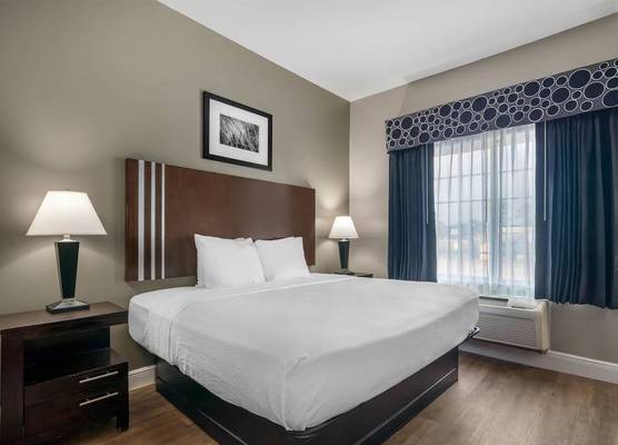 Best Western Abbeville Inn and Suites 1