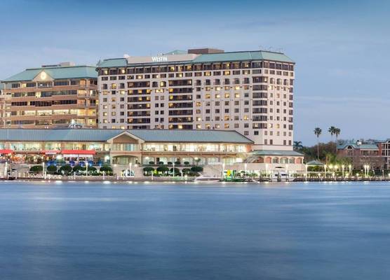 Westin Tampa Downtown Waterside 1