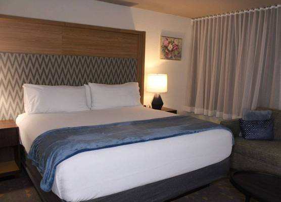Wyndham Flint MI Grand Blanc Bishop Airport Conference Ct 1