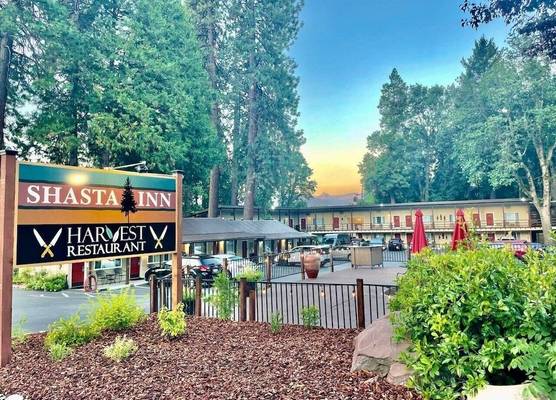 Shasta Inn 1