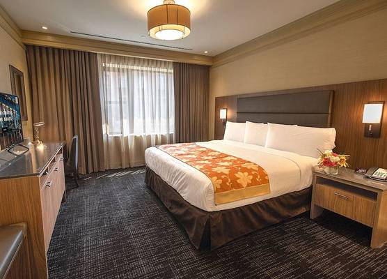 Opera House Hotel 1