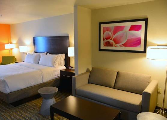 Holiday Inn Express & Suites HOUSTON NW - TOMBALL AREA by IHG 1