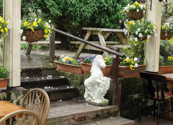 The New Forest Inn 1
