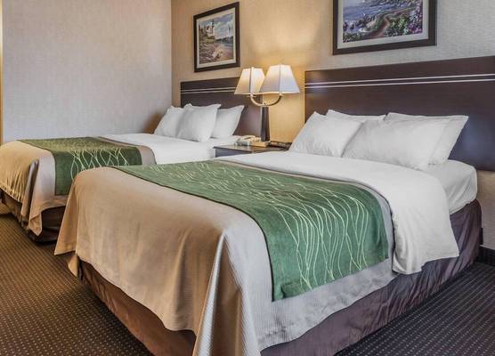 Comfort Inn On the Bay 1
