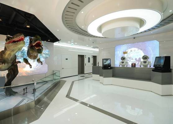 Henn na Hotel Seoul Myeongdong 1