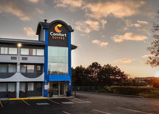 Comfort Suites Kingston Central 1