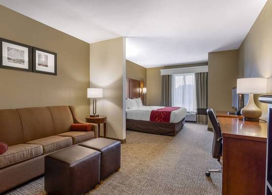 Comfort Suites Knoxville North 1