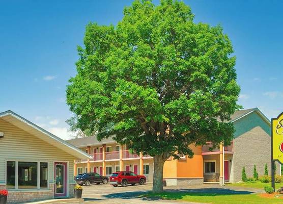 Super 8 by Wyndham Kingston 1
