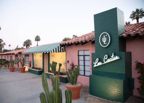 Les Cactus 1