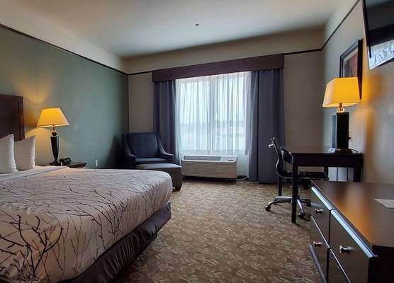 Best Western Plus Emory at Lake Fork Inn & Suites 1