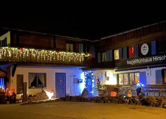 Nagelfluhhaus Hirsch 1