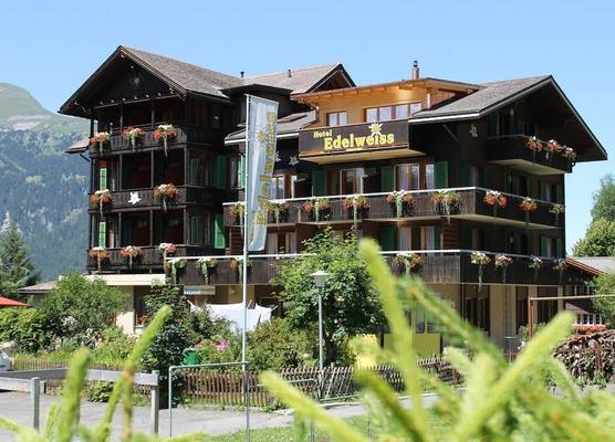 Hotel Edelweiss 1