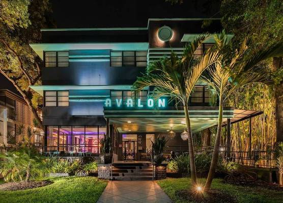 Avalon Hotel Downtown St. Petersburg 1