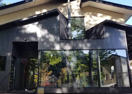 Alpine Lodge 1