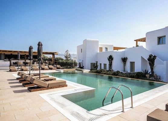 Mykonos Cactus 1