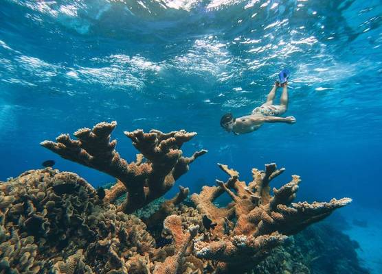 The Explorean Cozumel All Inclusive 1