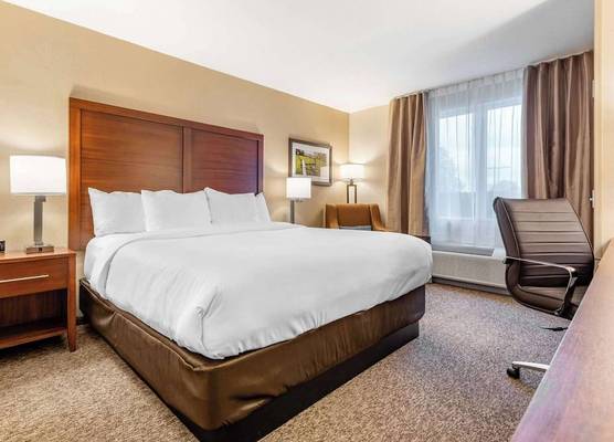Comfort Inn & Suites 1