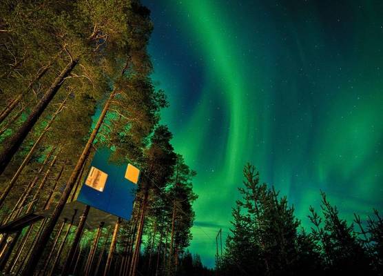 Treehotel 1
