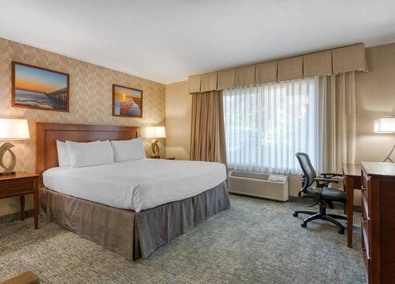 Best Western Seven Seas 1