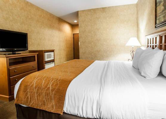 Comfort Inn & Suites Macon 1