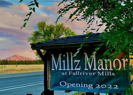 Millz Manor 1