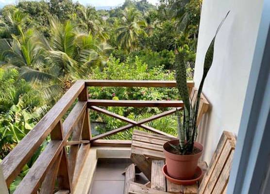 Great Palm View - Apartment 3 in Villa Coconut 1