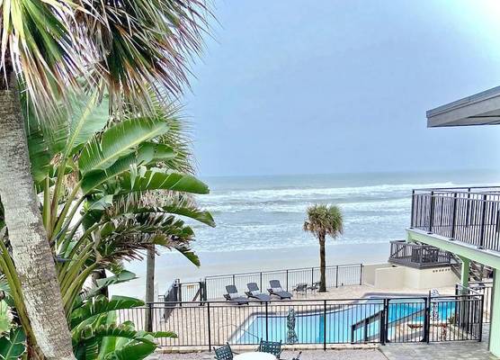 Organic Beach Retreat 1
