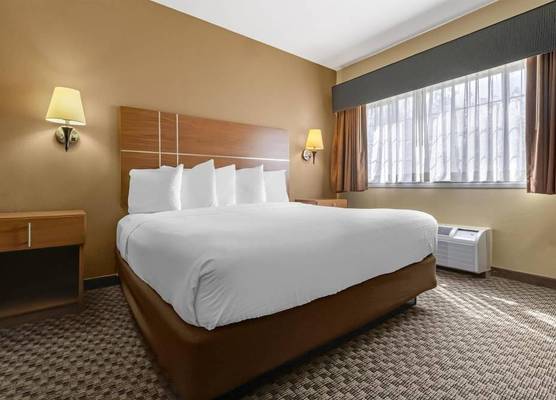 Best Western Plus Shamrock Inn & Suites 1