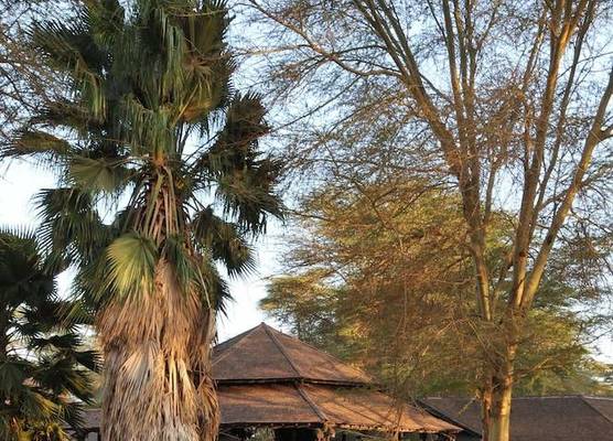 Ol Tukai Lodge Amboseli 1