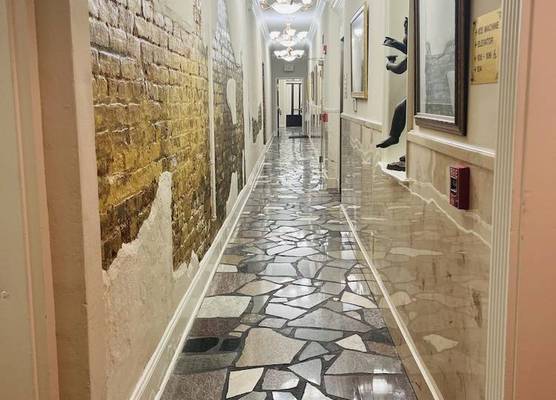 Plaza Suites Downtown New Orleans 1