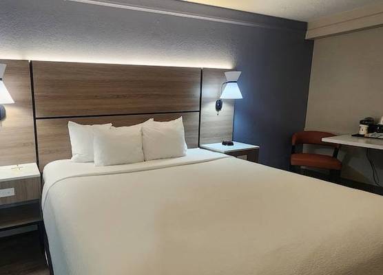 La Quinta by Wyndham St Petersburg-Clearwater 1