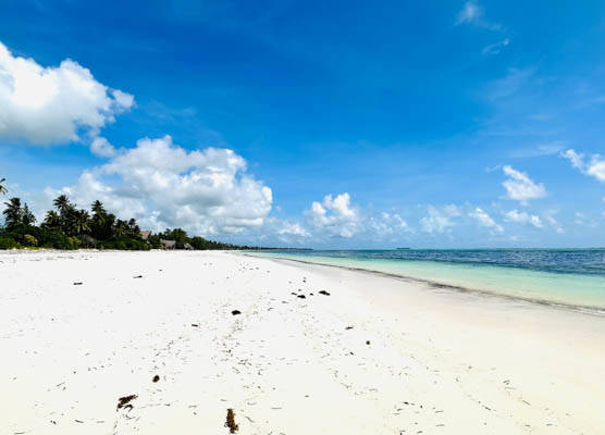 Palumbo Mnemba View Resort 1