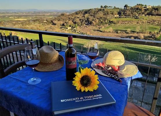 Hotel Sangallo B&B - panoramic position - Valley and vineyard view- family run 1