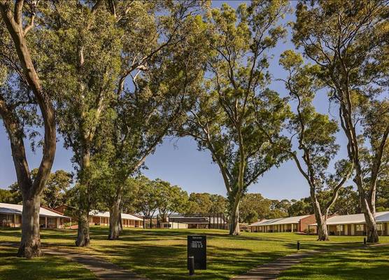 Serafino McLaren Vale 1