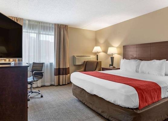 Comfort Inn Lansing West 1