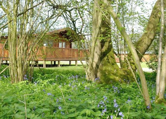 South Winchester Lodges 1