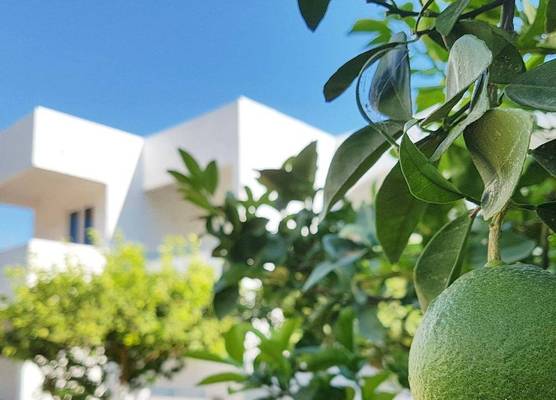 CASA MIKELE by Sarikas - SEA SIDE SUITES and STUDIOS -adults only 1
