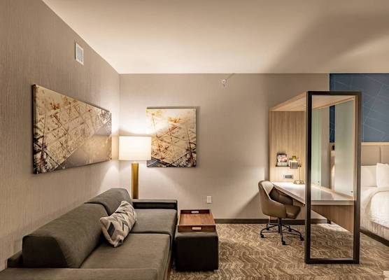SpringHill Suites by Marriott Dallas McKinney 1