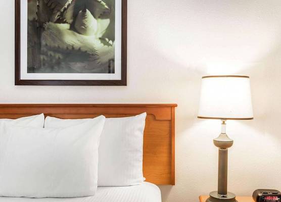 Baymont by Wyndham Orlando South 1