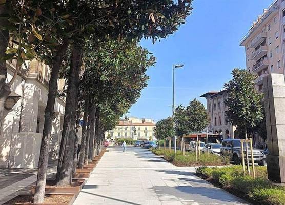 A Pisa con amore 1