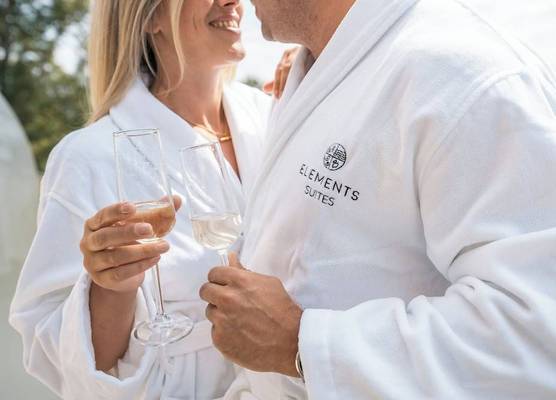 Elements Suites 1