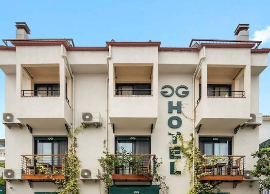 The Green Goose Hotel 1