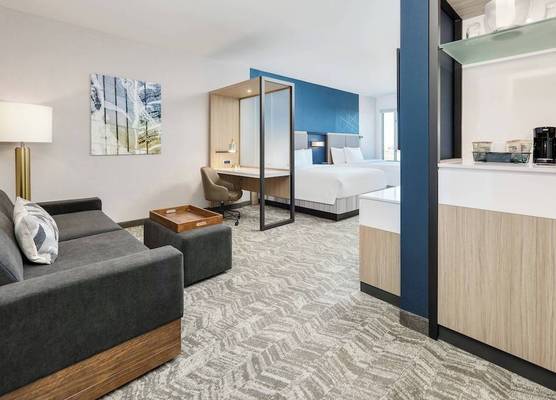 SpringHill Suites by Marriott Dallas Mansfield 1