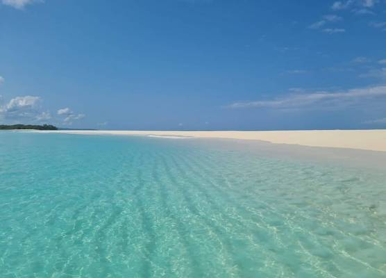 Swisscocobeach 1