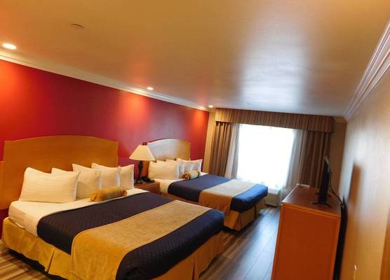 City Express by Marriott Placentia Anaheim 1