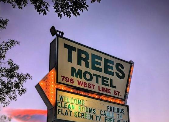 Trees Motel 1