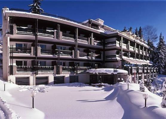 Hôtel de la Forêt 1