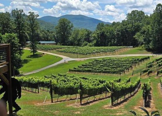 Paradise Hills, Winery Resort & Spa 1
