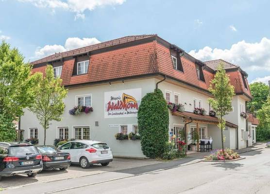 Mayers Waldhorn - zwischen Reutlingen und Tübingen 1